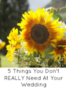 http://sometimesphotojenik.blogspot.com/2015/03/5-things-you-dont-really-need-at-your.html
