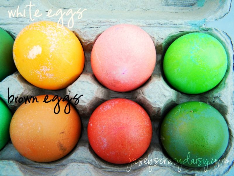Eggs Color