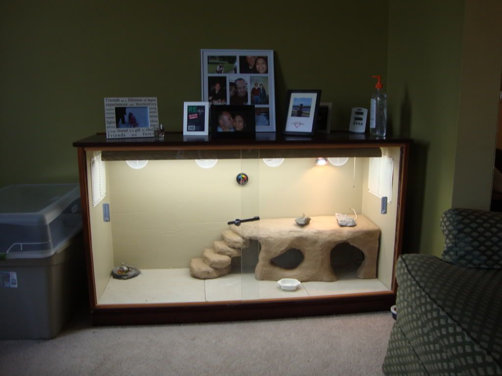 Bearded dragon cage from old dressor • Bearded Dragon . org