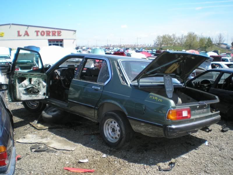 P1011856800x600.jpg