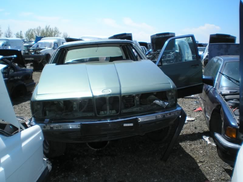 P1011859800x600.jpg