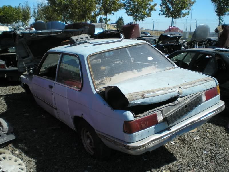 P1012441800x600.jpg