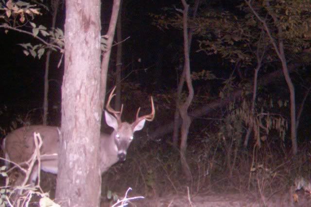 Big8screen.jpg?t=1287192211