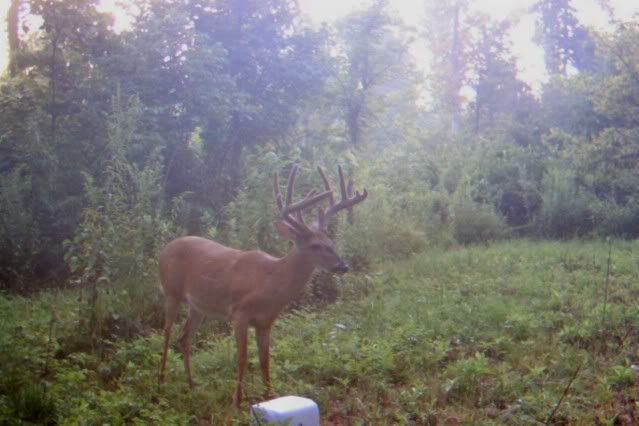 MDGC0061.jpg?t=1293487569