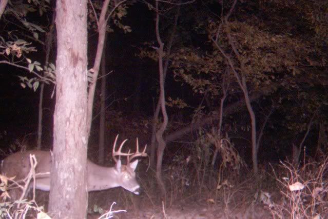 big8_2.jpg?t=1287192257