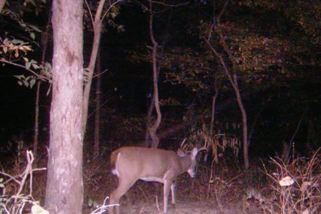 big8_3.jpg?t=1287192608