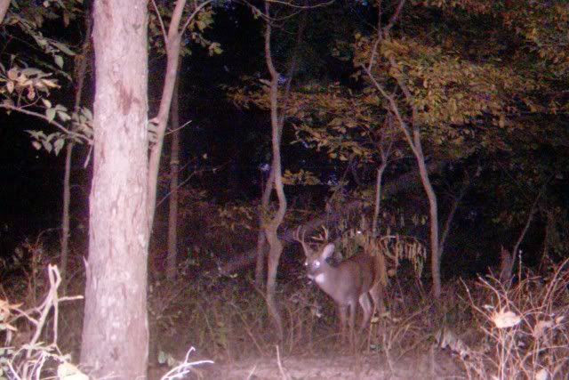 little10_3-1.jpg?t=1287192970