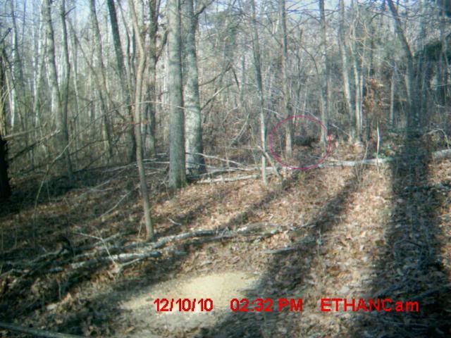 whatisit1-1.jpg?t=1292277760