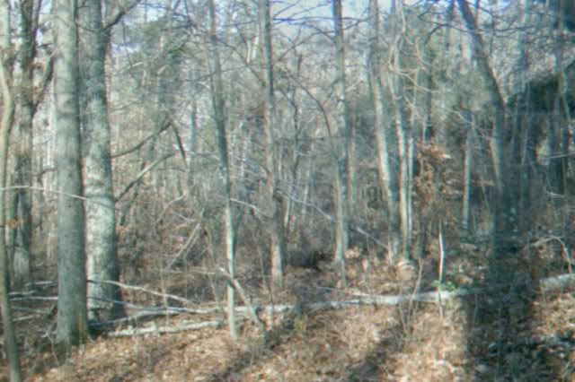 whatisit2.jpg?t=1292278106