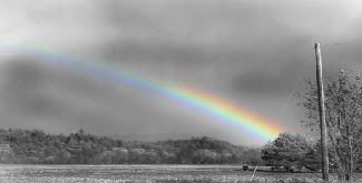 black and white Pictures, Images and Photos