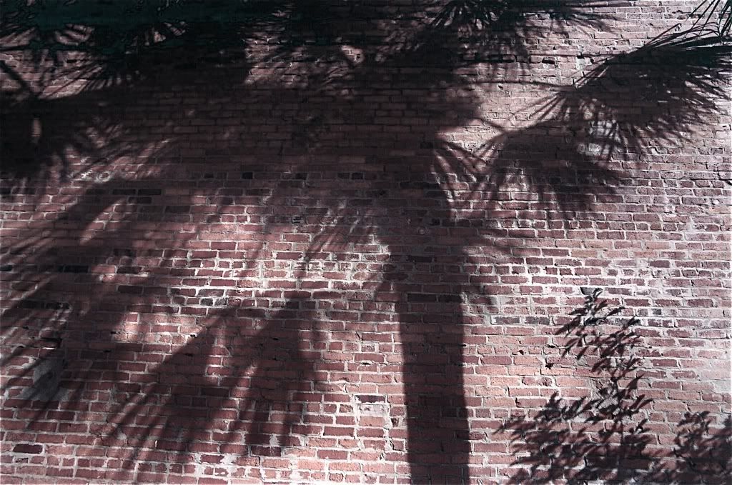 file-48.jpg