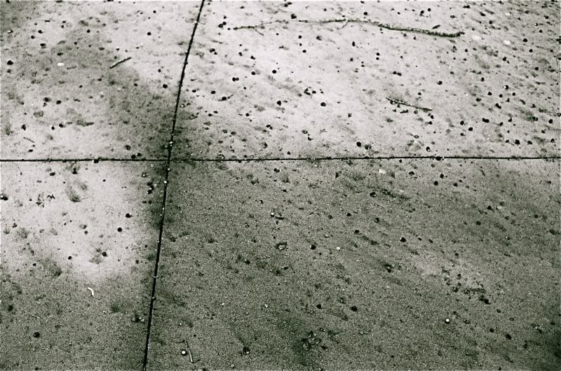 file-86.jpg