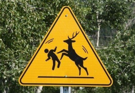 stag party