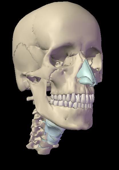 Posted Image