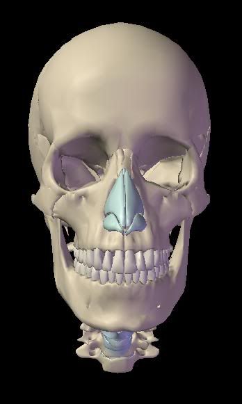 Posted Image