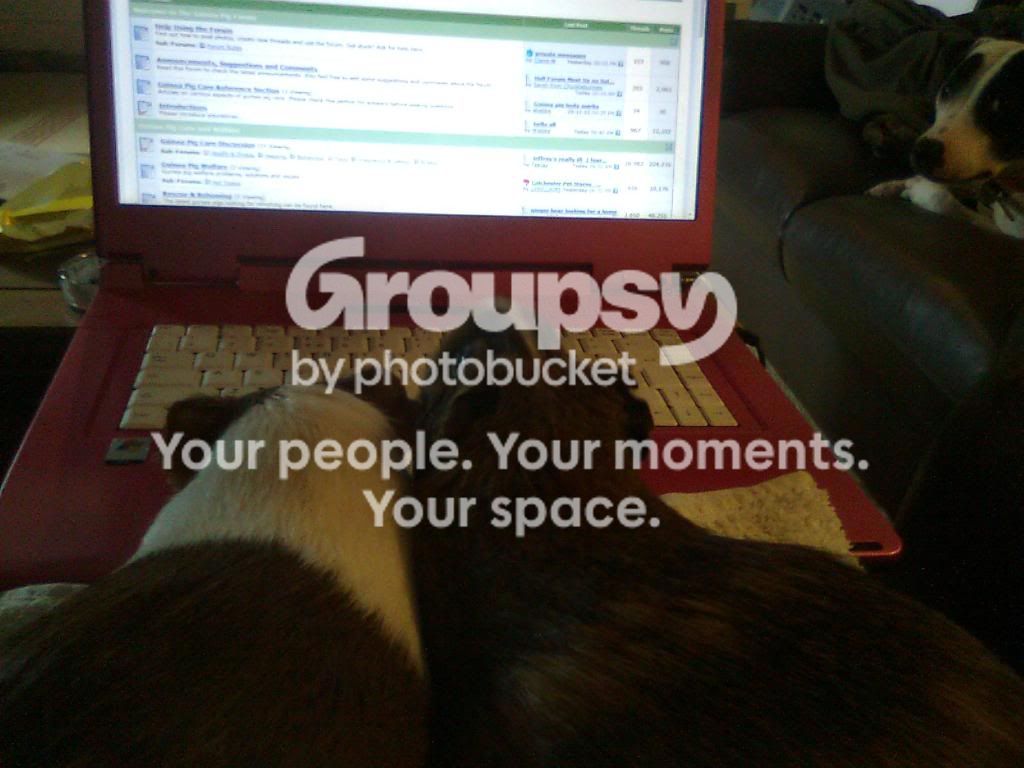 006-2.jpg
