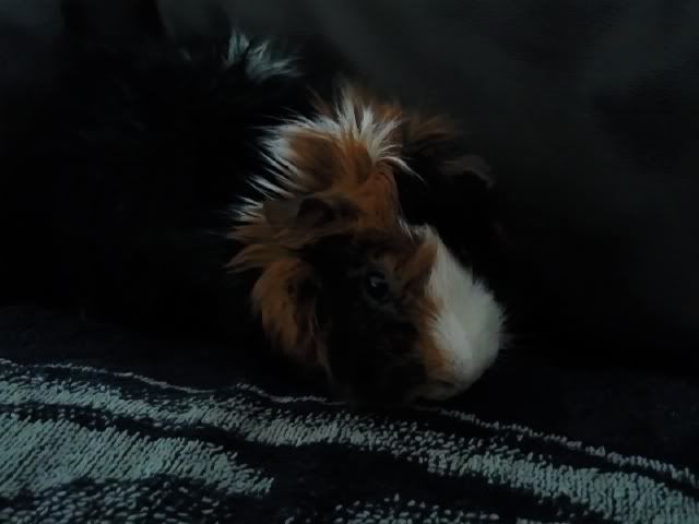 BathtimeDelboy.jpg