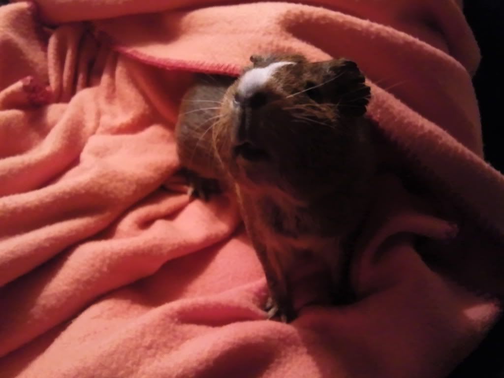 Branston-Posing.jpg