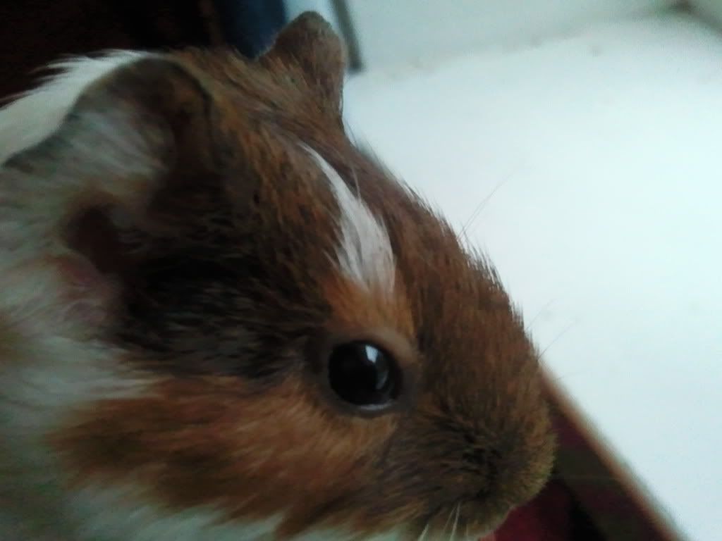 Photo023.jpg
