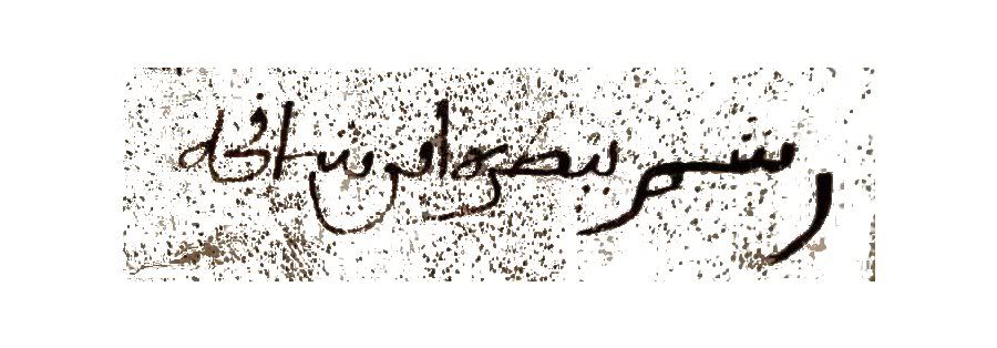 firma11.jpg