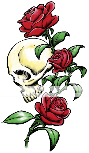 Skull Roses (color Shading) Pictures, Images & Photos | Photobucket